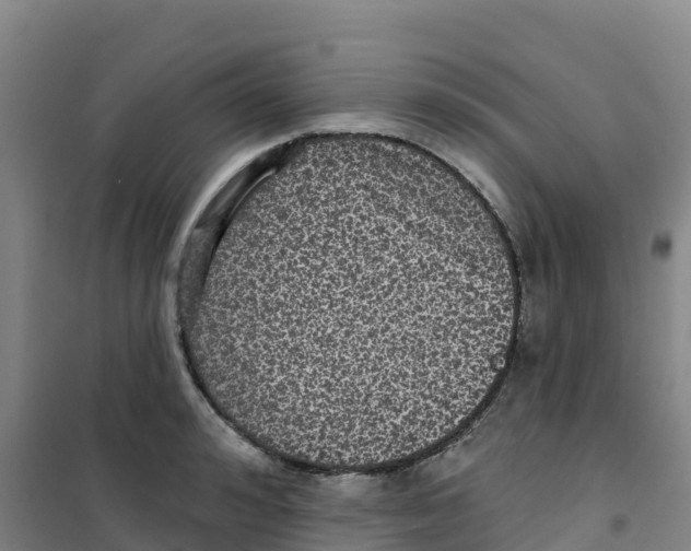 X0000100370992200807031858