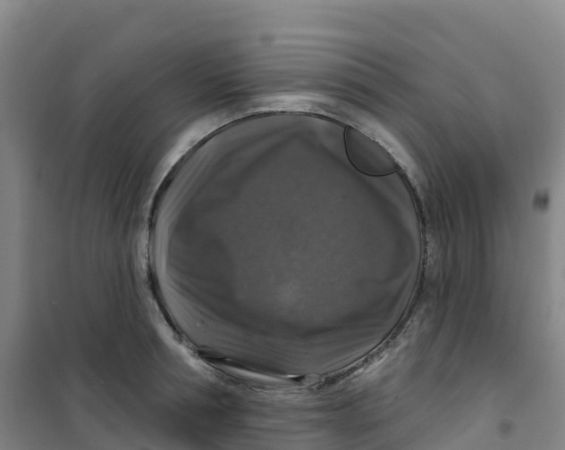 X0000100370994200807031858