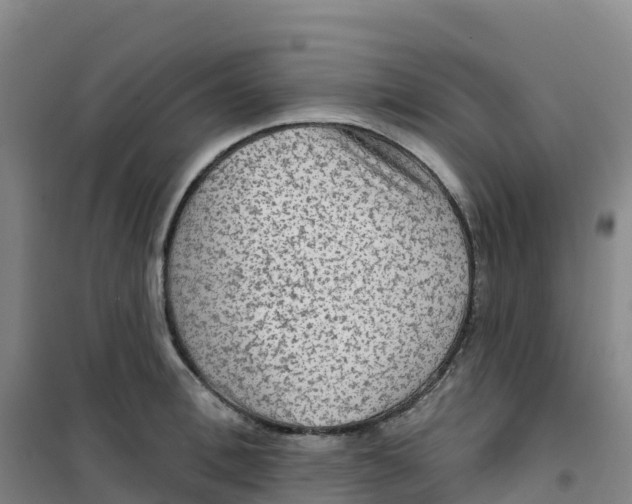 X0000100370996200807031858