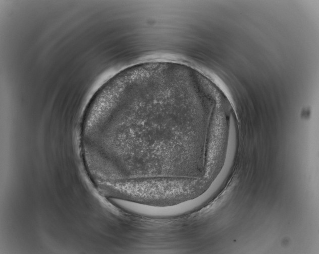 X0000100370997200807031858