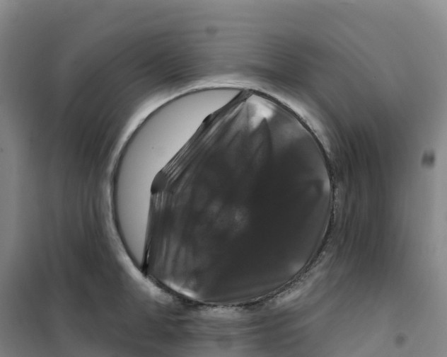 X0000100370998200807031858