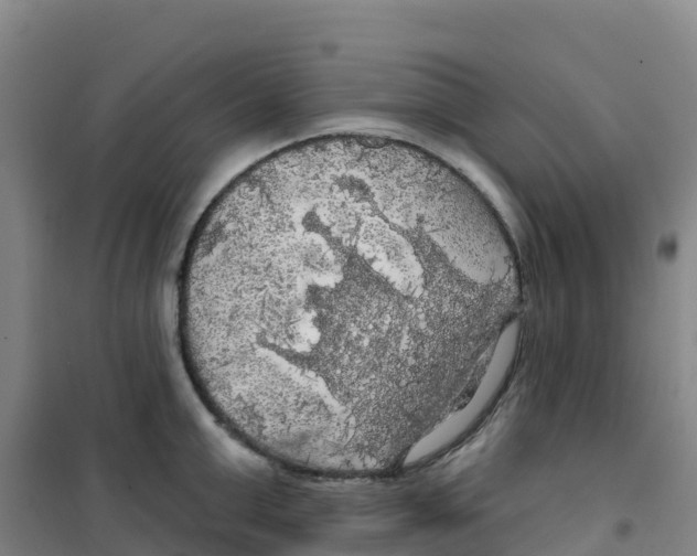 X0000100370999200807031858