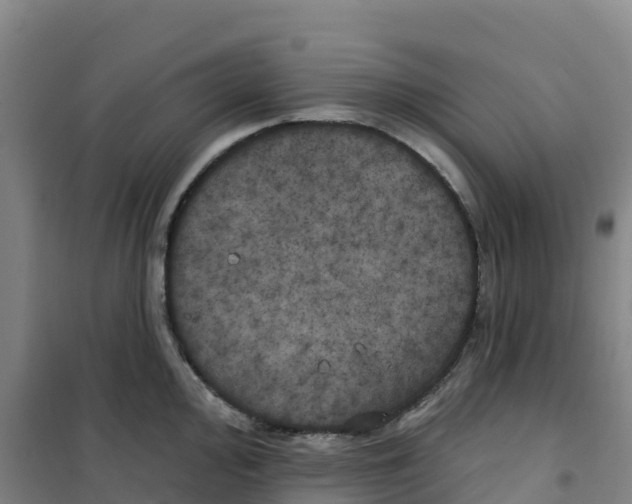 X0000100371000200807031858