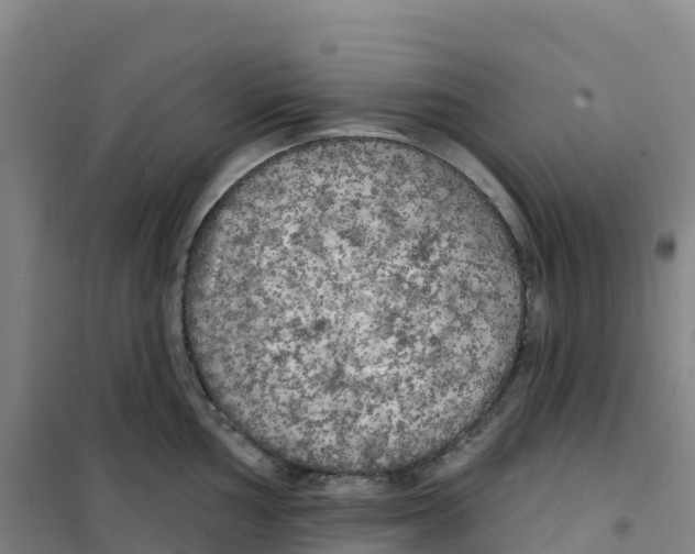 X0000100371002200807031858