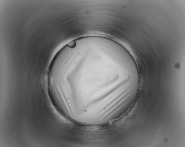 X0000100371003200807031858