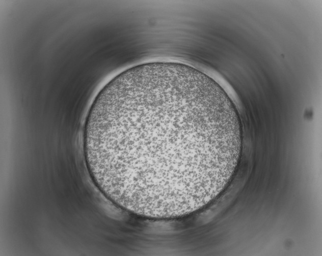 X0000100371004200807031858