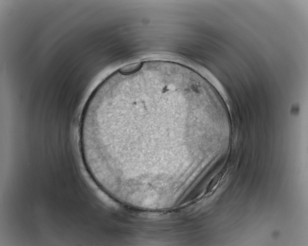 X0000100371005200807031858