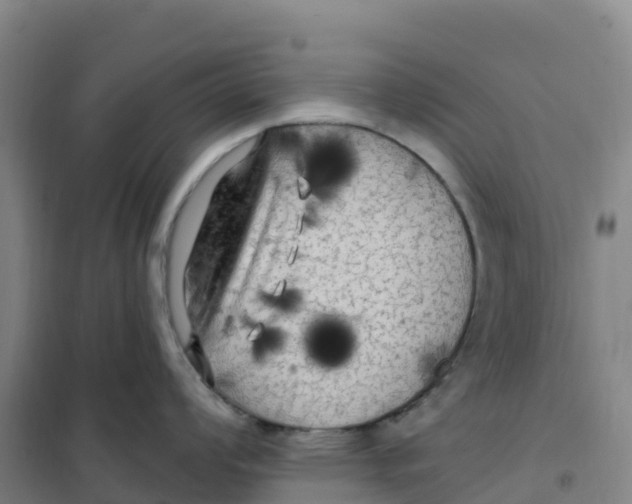 X0000100371008200807031858