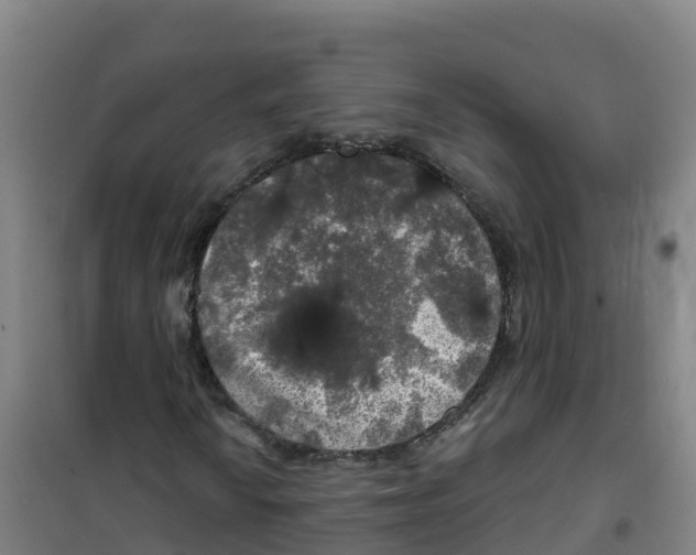 X0000100371010200807031857