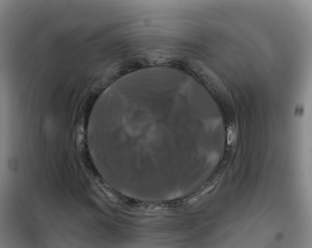 X0000100371011200807031857