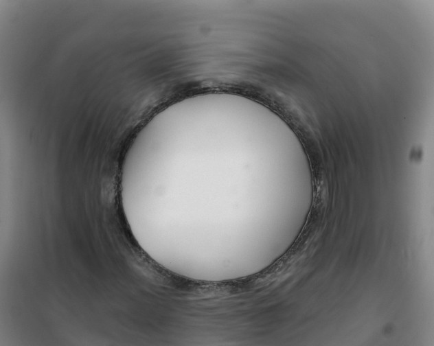 X0000100371012200807031857