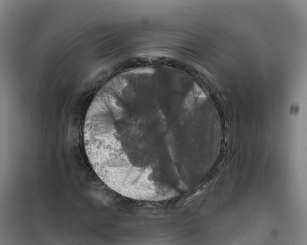 X0000100371014200807031857