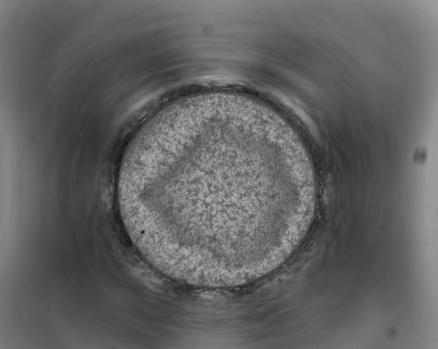 X0000100371015200807031857