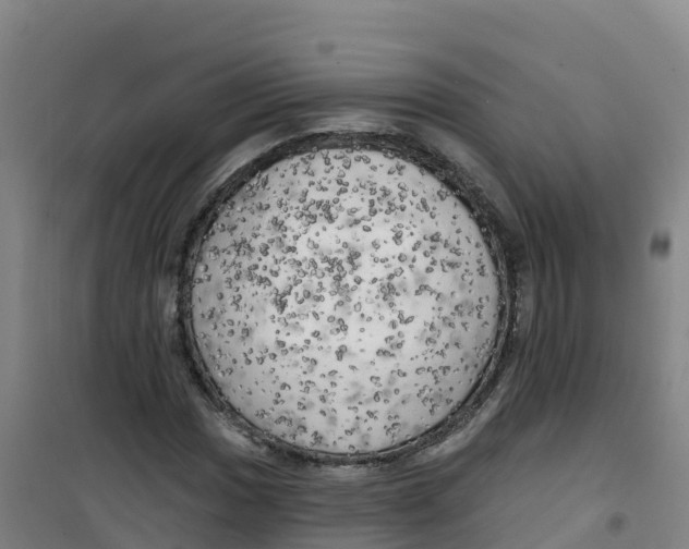 X0000100371017200807031857