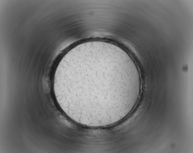 X0000100371018200807031857