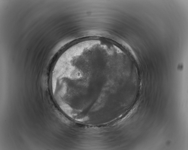 X0000100371019200807031857