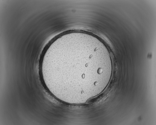 X0000100371020200807031857