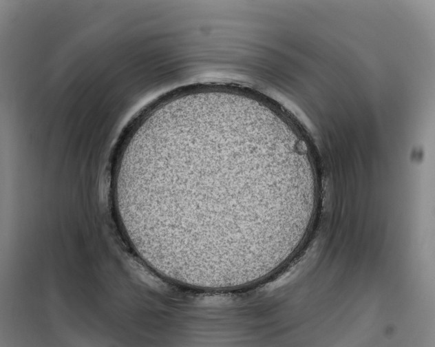 X0000100371021200807031857