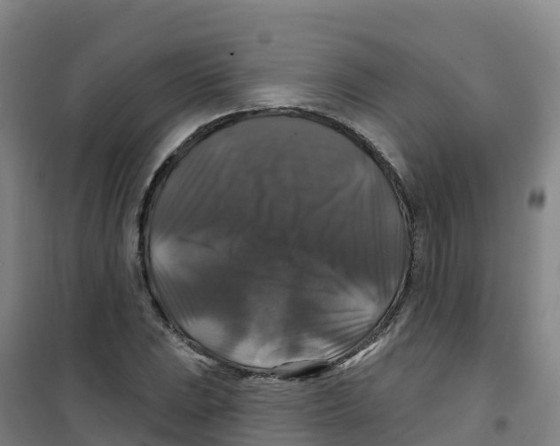 X0000100371023200807031857