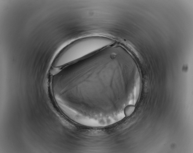 X0000100371024200807031857