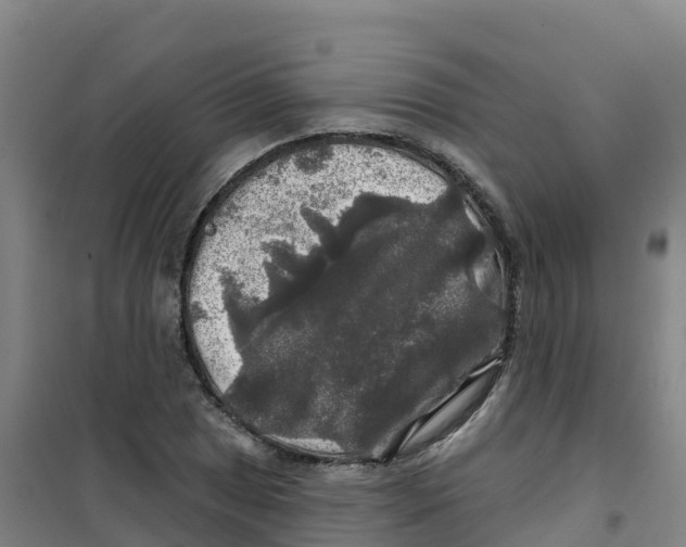 X0000100371025200807031857