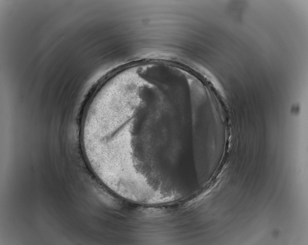 X0000100371027200807031857