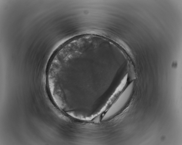 X0000100371028200807031857