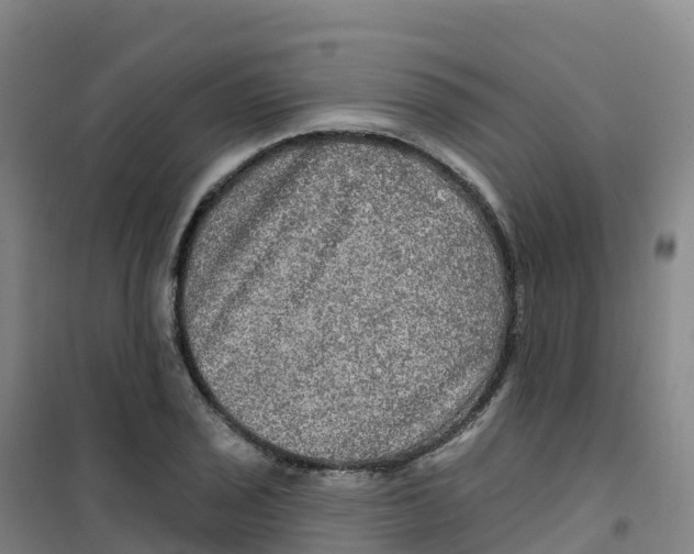 X0000100371029200807031857