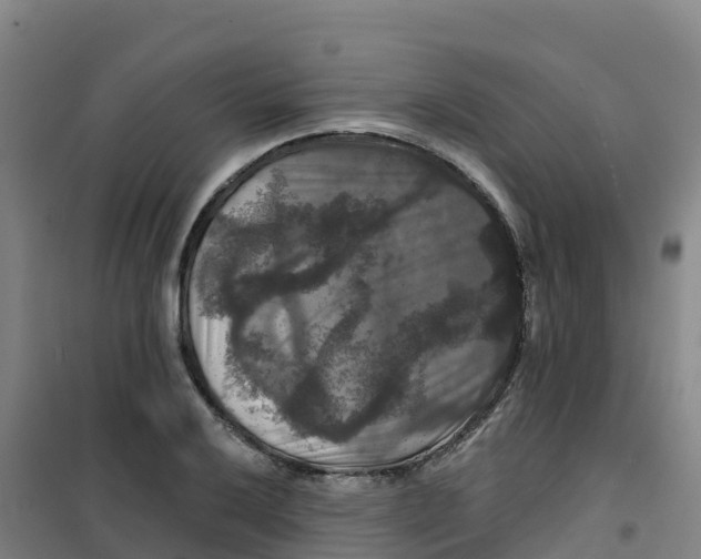 X0000100371032200807031857