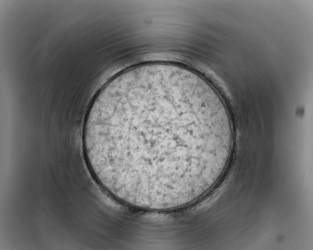 X0000100371033200807031857