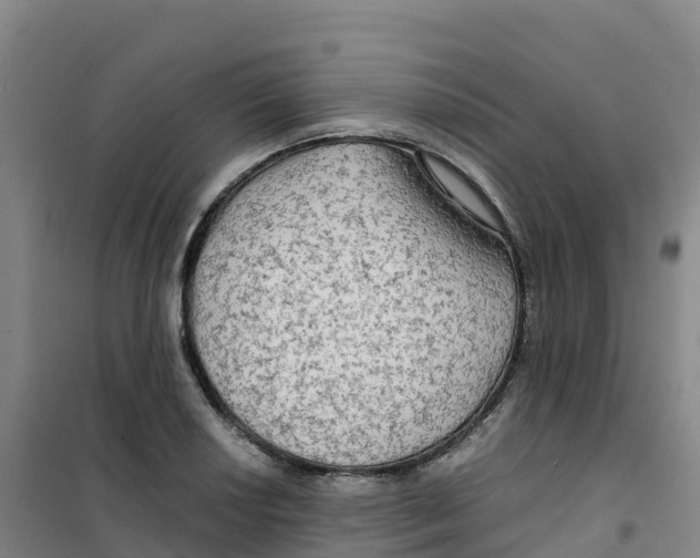 X0000100371034200807031857