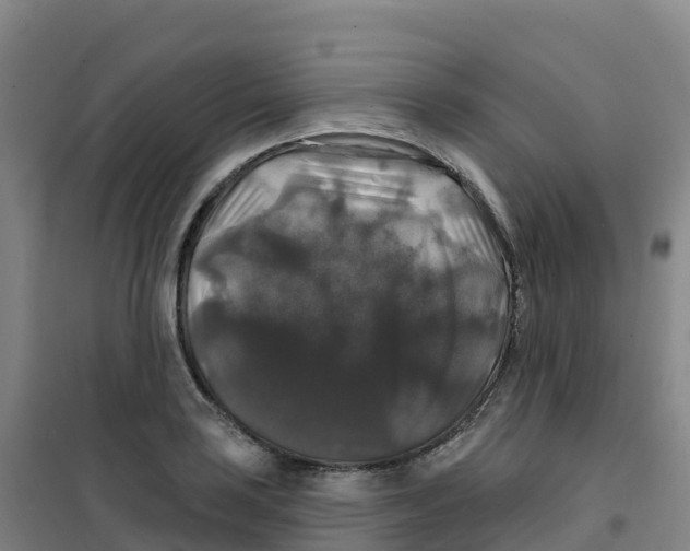 X0000100371035200807031857