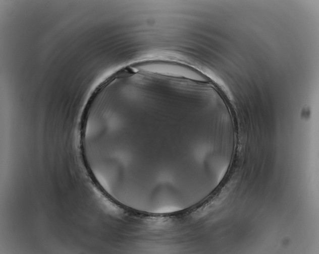 X0000100371037200807031857