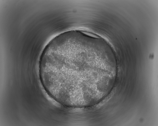 X0000100371038200807031857