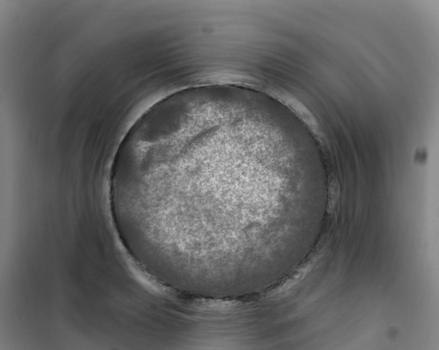 X0000100371039200807031857