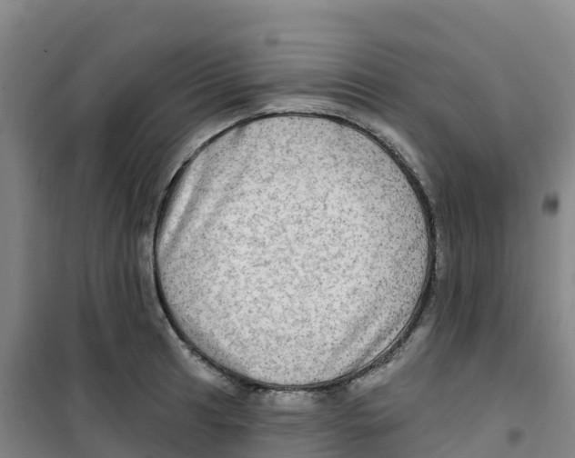 X0000100371041200807031857