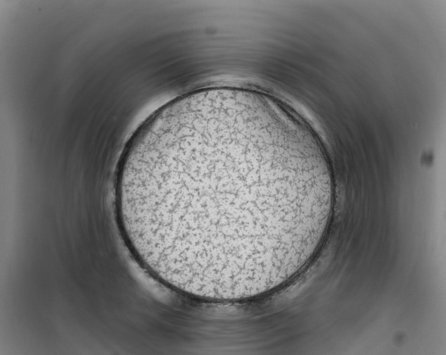 X0000100371042200807031857