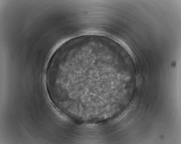 X0000100371043200807031857