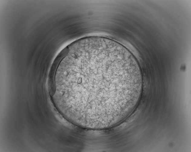 X0000100371044200807031858