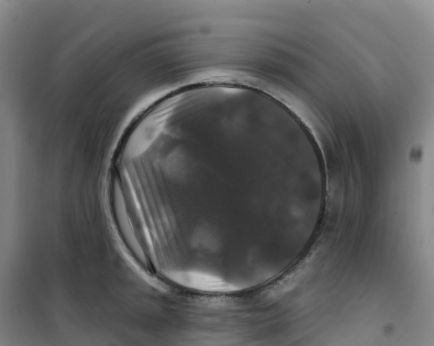 X0000100371045200807031858