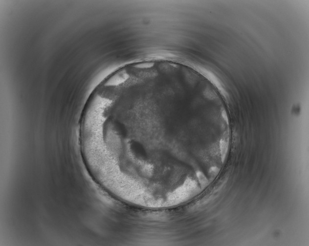 X0000100371047200807031858