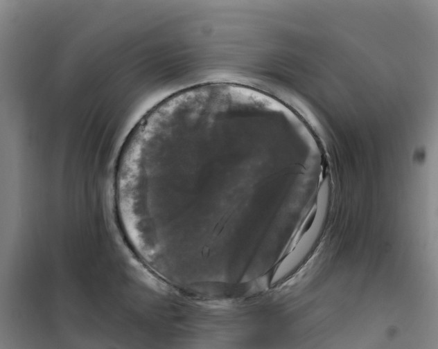 X0000100371048200807031858