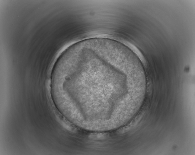 X0000100371051200807031858