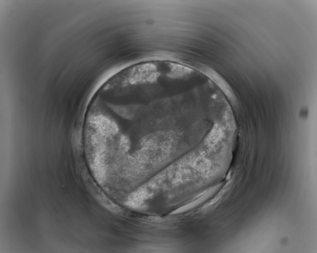 X0000100371052200807031858