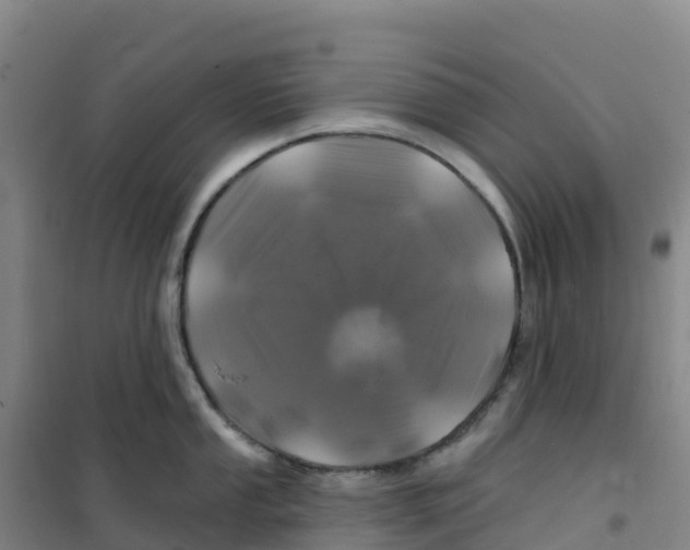 X0000100371053200807031858