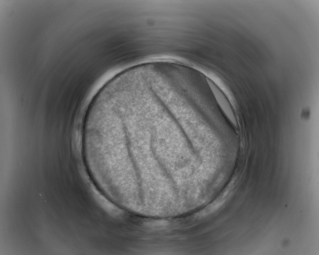 X0000100371054200807031858