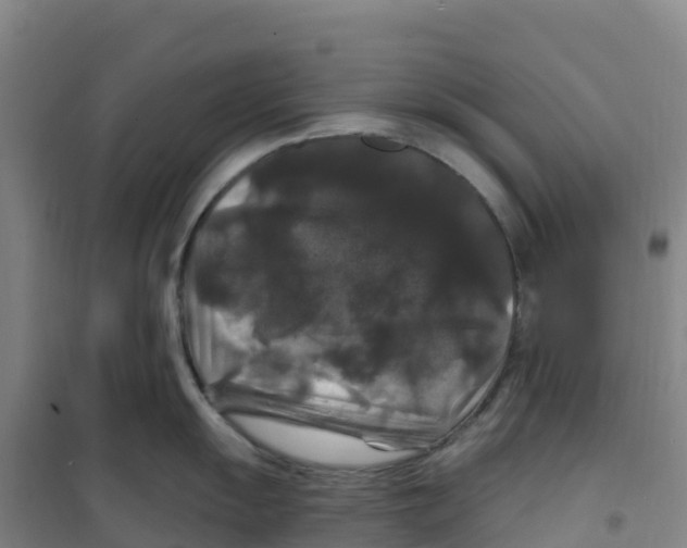 X0000100371055200807031858