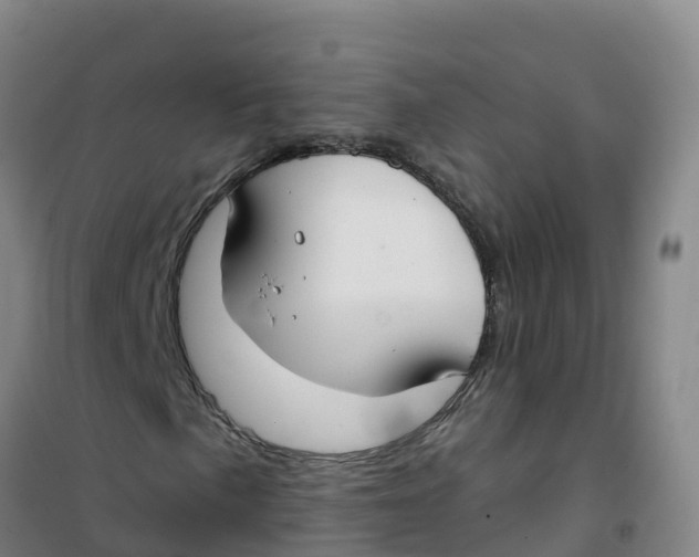 X0000100371057200807031857