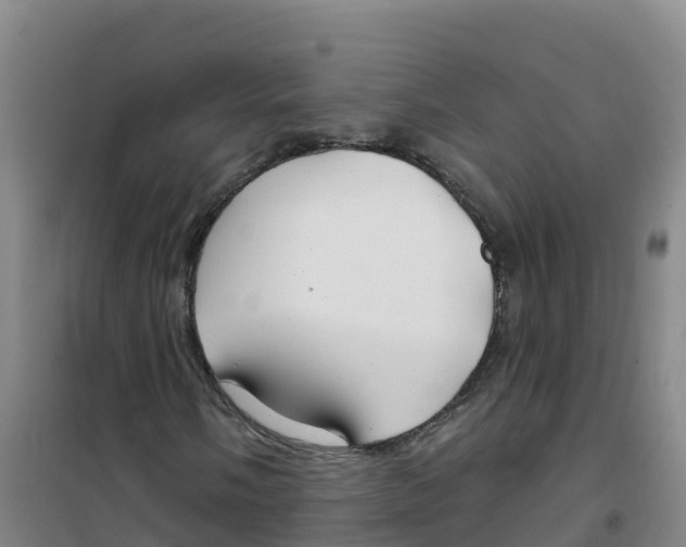 X0000100371058200807031857