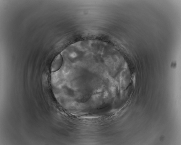 X0000100371059200807031857